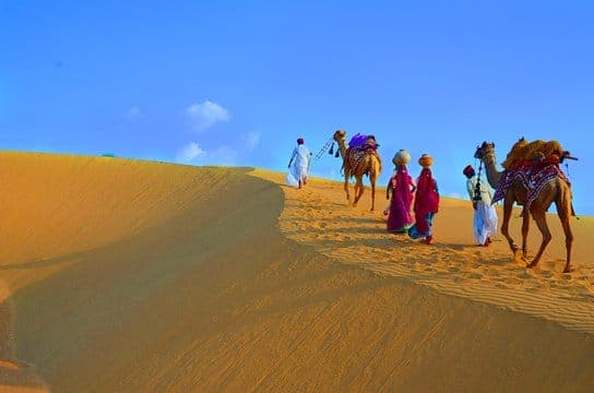 Camel safari in Thar