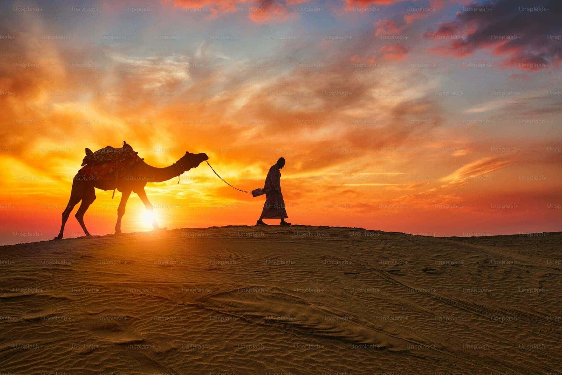 9 Days Rajasthan Tour Guide